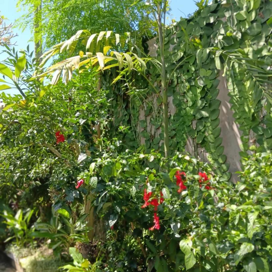 Coliving Bali Sweet Home Kost Lengkap Di Tabanan Kota Exterior foto